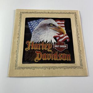 Vintage Harley Davidson Framed Glass Print America Bald Eagle Carnival Man Cave
